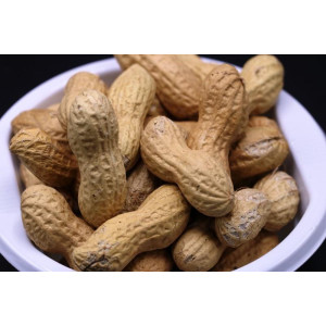 CACAHUETE TOSTADO CON LEÑA DE ENCINA B. DE 500 G